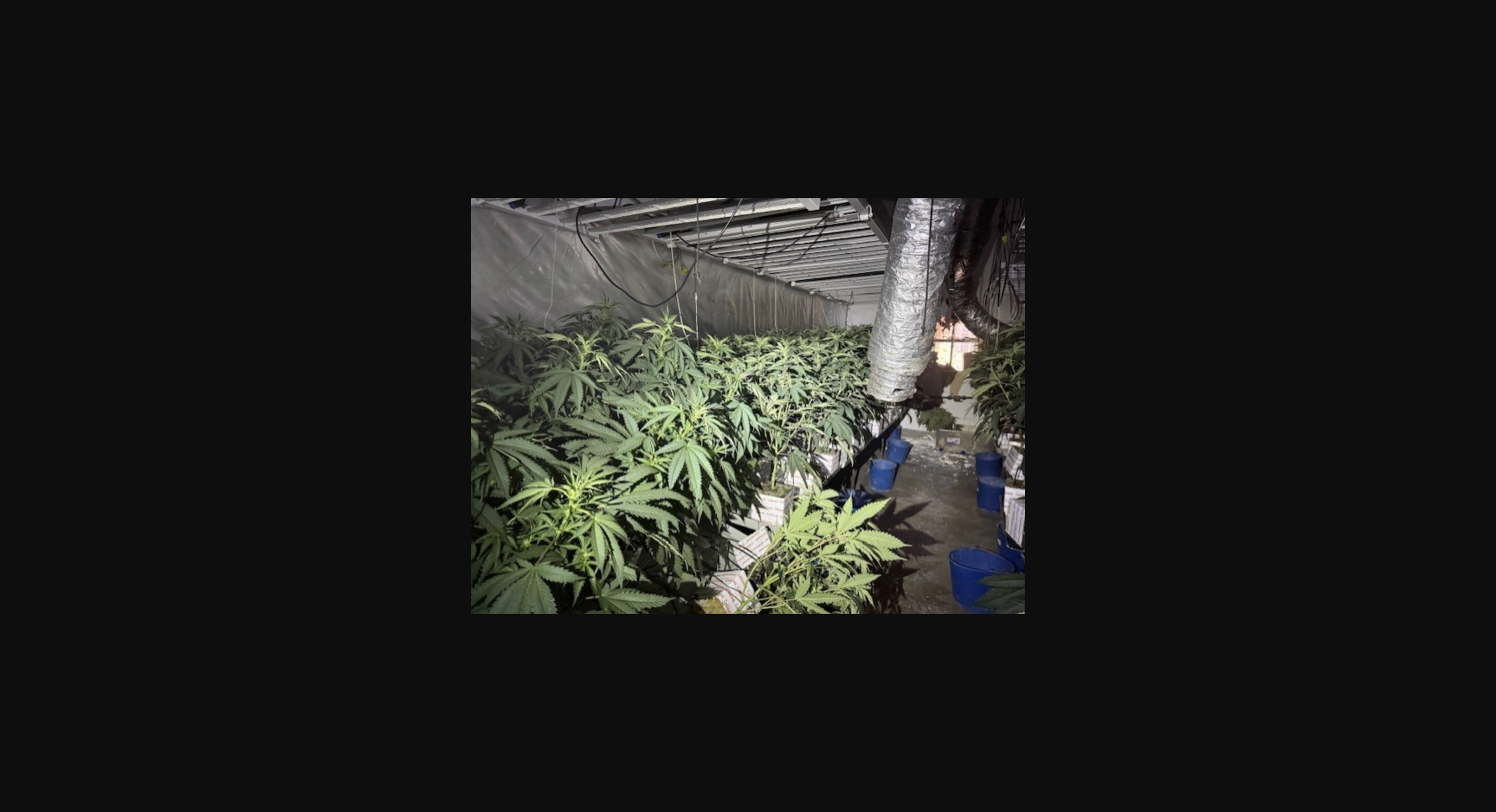 Incendios simultáneos en cultivos de marihuana en interiores en el corazón de Barcelona