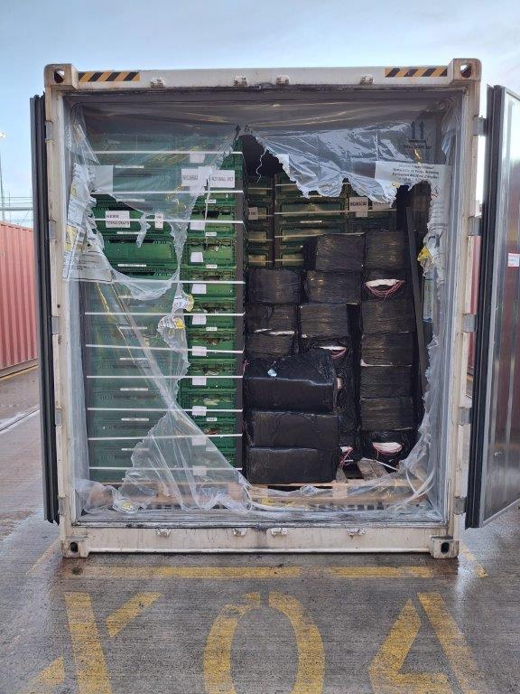 Confiscan una tonelada de cocaína oculta en bananos en el puerto de Southampton