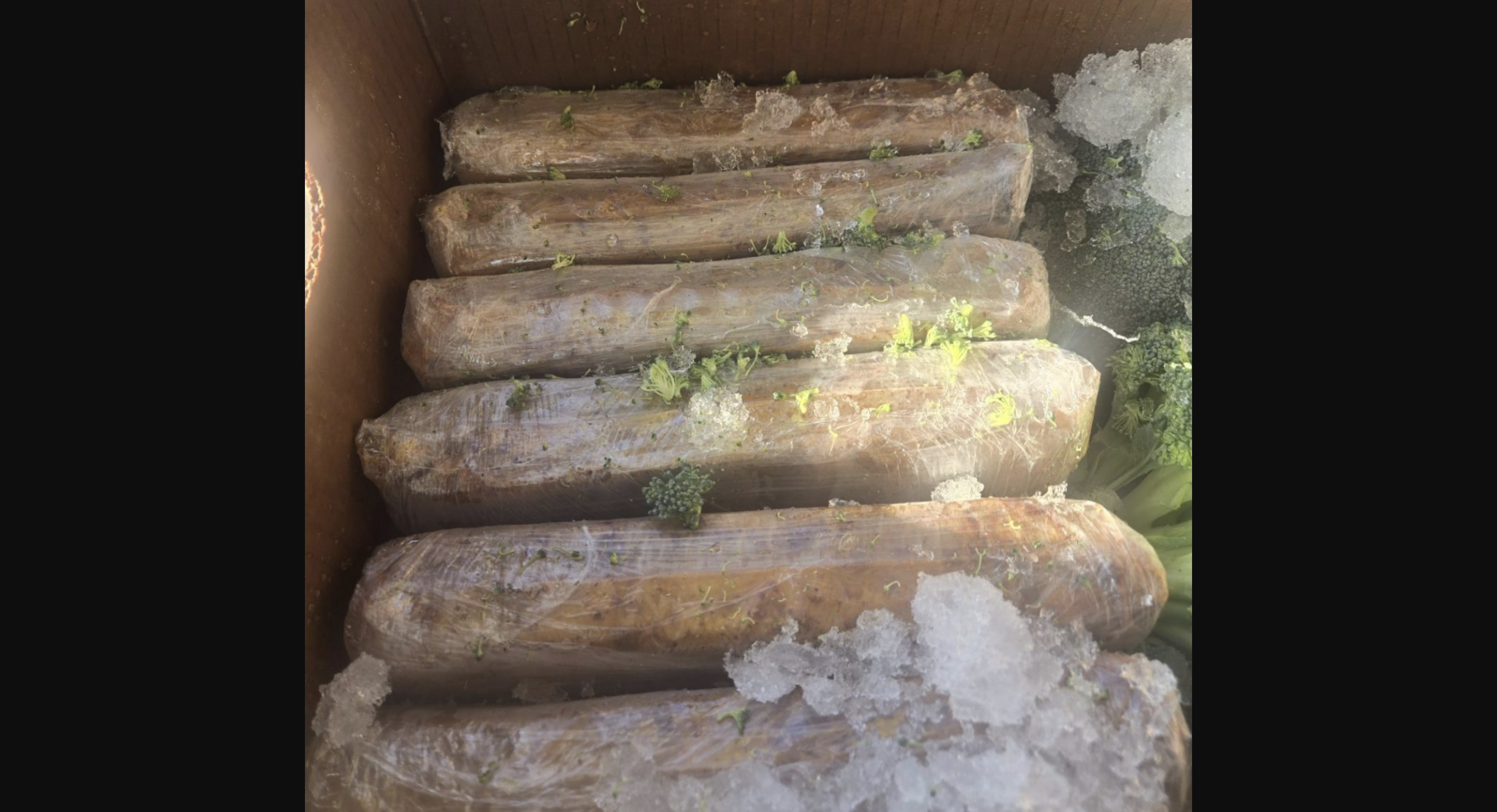 Un envío de brócoli escondía 157 kilos de cocaína en Texas