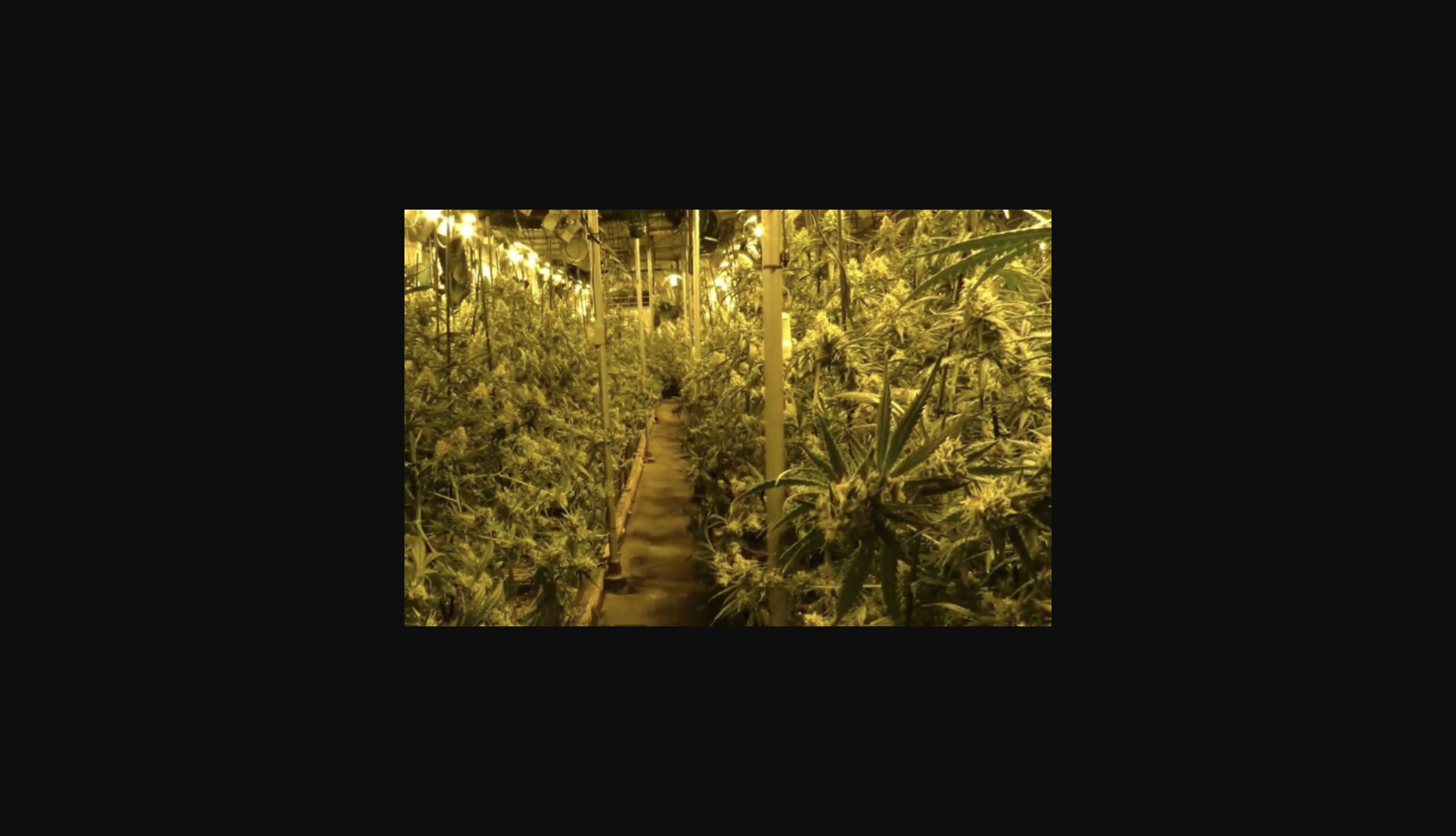 Siete años de prisión para un narcotraficante que asesinó a otro que intentó robarle su cargamento de drogas.