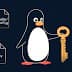 Quasar Linux RAT roba credenciales de desarrolladores para comprometer la cadena de suministro de software.