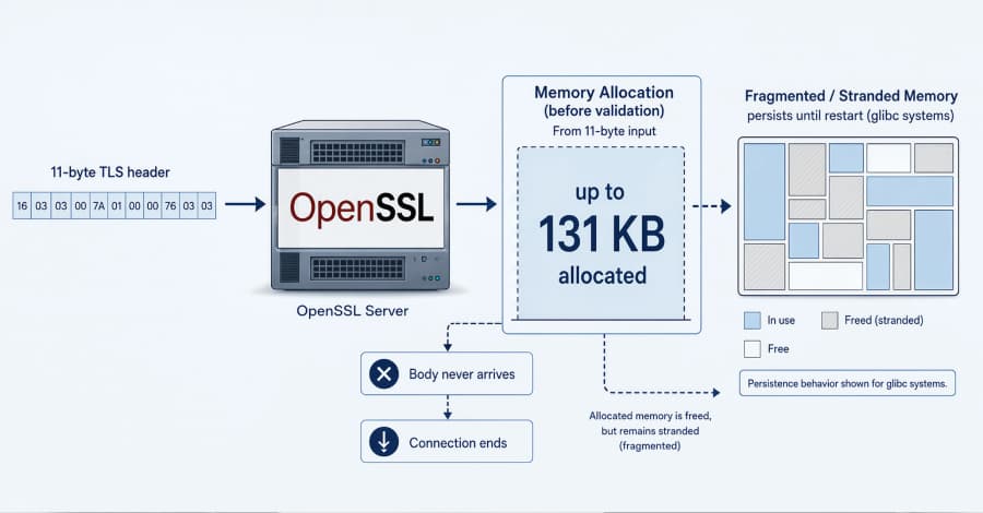 Vulnerabilidad HollowByte en OpenSSL podría congelar la memoria del servidor con solicitudes TLS de 11 bytes.