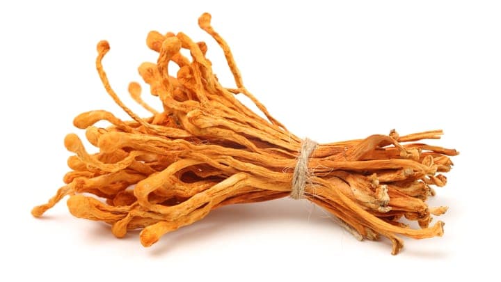 Cordyceps': Crecientes Solicitudes de Extracción Maliciosas Amenazan los Flujos de Trabajo de los Desarrolladores