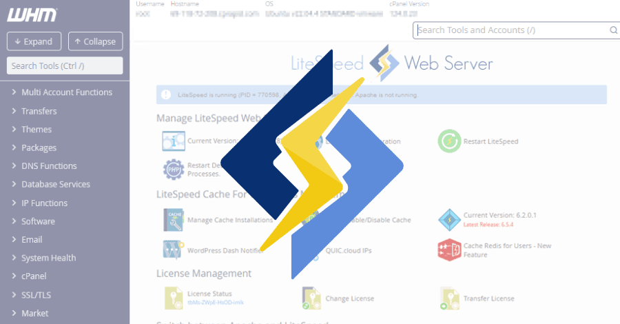 Explotación del plugin de LiteSpeed para cPanel CVE-2026-48172 permite ejecución de scripts como root