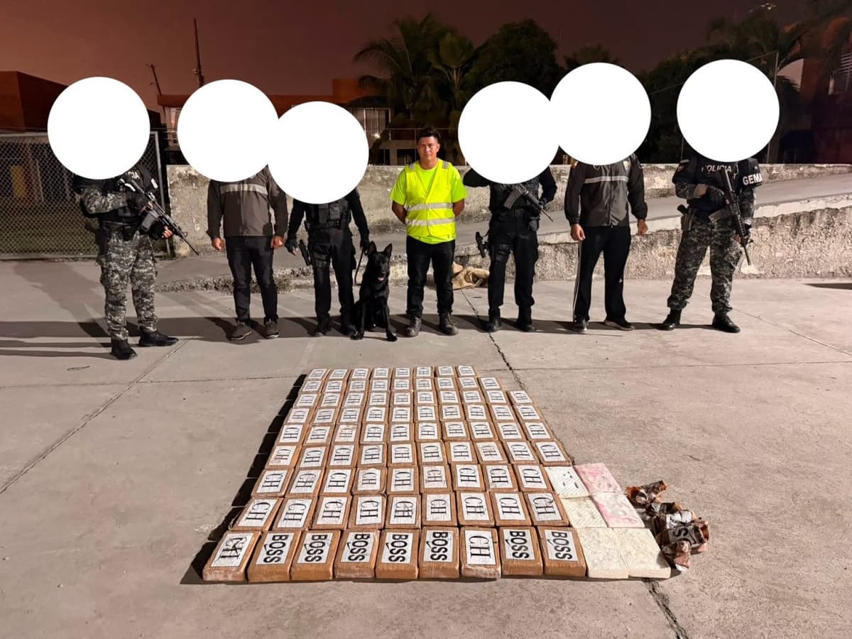 Confiscan 90 kilos de cocaína en un contenedor de frutas con destino a Génova