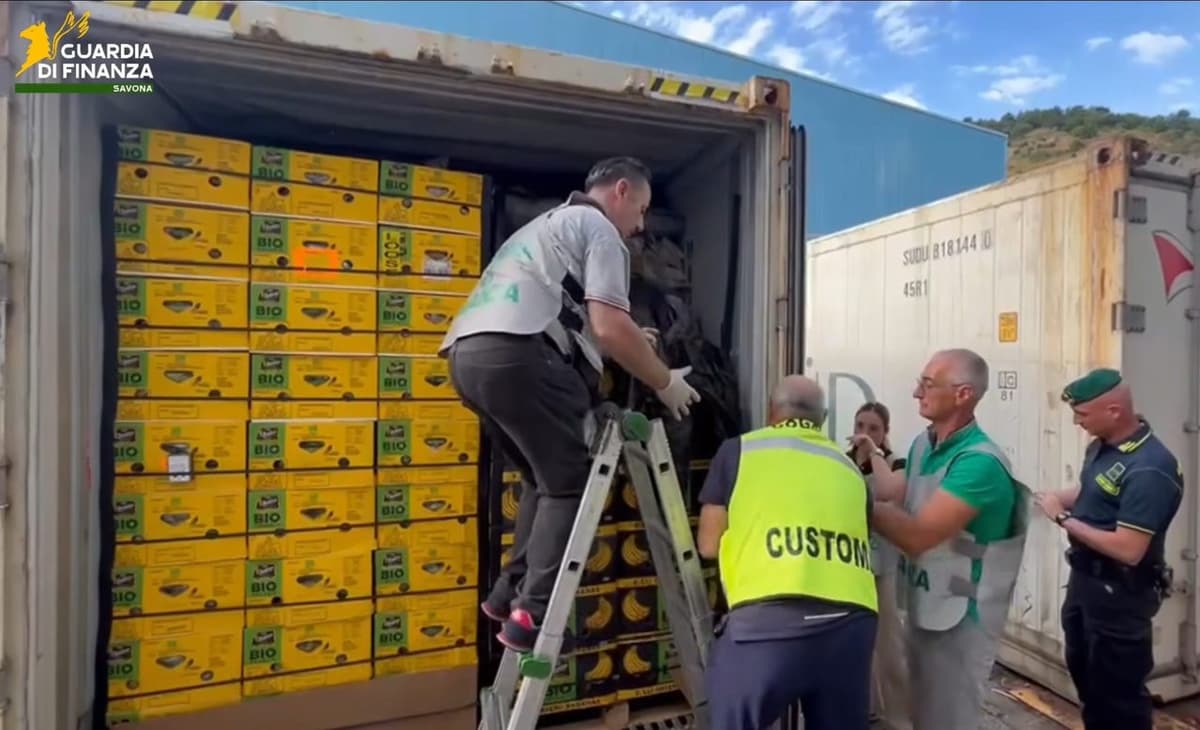 Ochocientos kilos de cocaína camuflados entre palets de plátanos en Savona