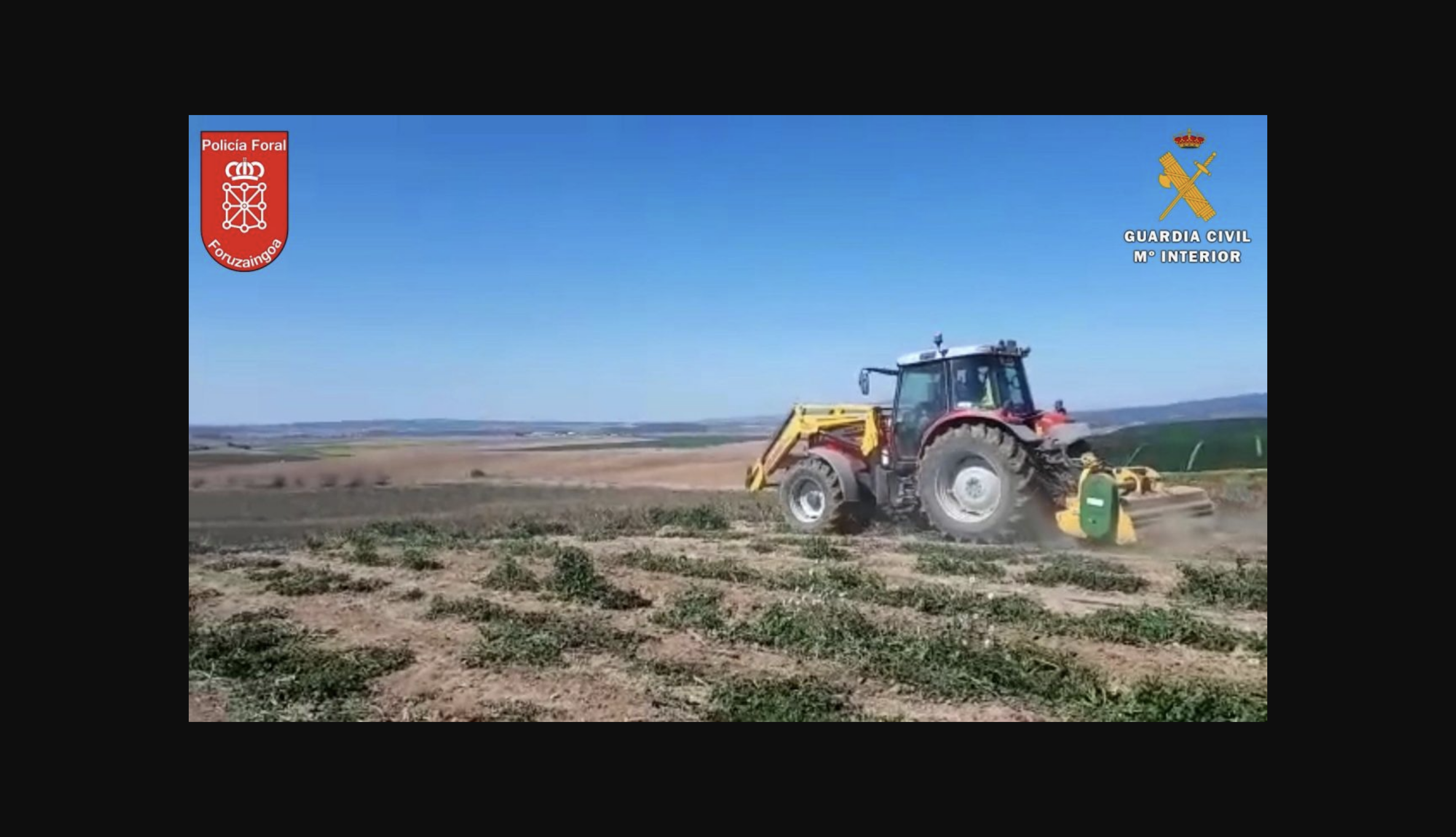 Cinco personas sentenciadas en España por el tráfico de 105.000 kilos de marihuana